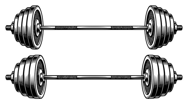 Black and white vector illustration of two heavy dumbbells