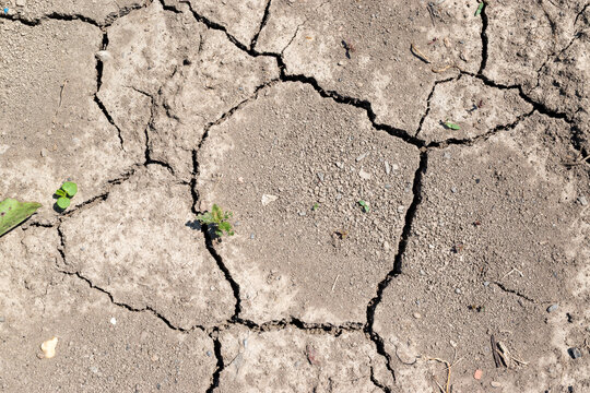 Cracked Dry Soil Caused by Drought and Climate Change
