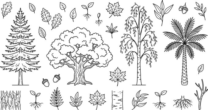 Forest trees and botanical leaf line icon set featuring oak palm pine and maple elements