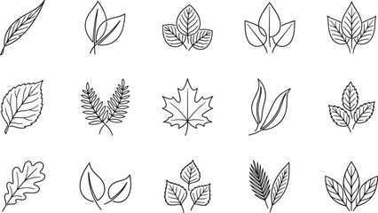 Green leaf and botanical plant branch line icon set featuring maple oak and fern elements © MDBABULU