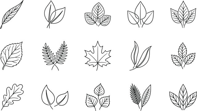Green leaf and botanical plant branch line icon set featuring maple oak and fern elements