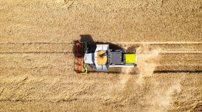 Aerial view of a combine harvester harvesting wheat in a golden field with dust clouds rising from the machinery in Loriol-sur-Drome, Auvergne-Rhone-Alpes, France.