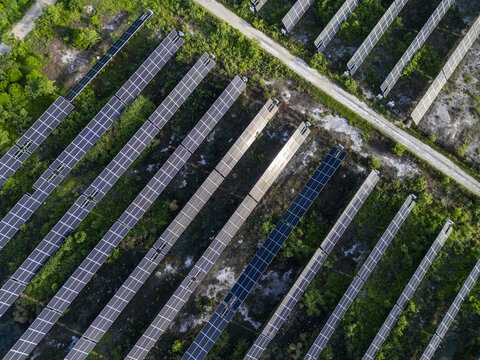 Aerial view of San Ignacio solar photovoltaic power plant with rows of solar panels arranged in a grid pattern across the landscape in Progreso, Yucatan, Mexico.