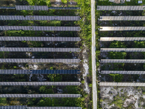 Aerial view of the San Ignacio solar photovoltaic power plant with rows of solar panels arranged in a grid pattern separated by a dirt access road, Progreso, Yucatan, Mexico.