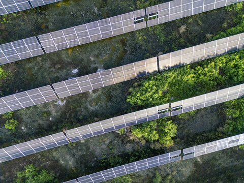Aerial view of San Ignacio solar photovoltaic power plant with rows of solar panels installed over green vegetation and rocky terrain in Progreso, Yucatan, Mexico.