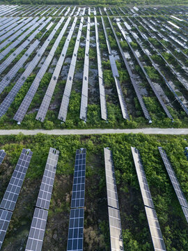 Aerial view of the San Ignacio solar photovoltaic power plant with rows of solar panels installed in a lush green field in Progreso, Yucatan, Mexico.