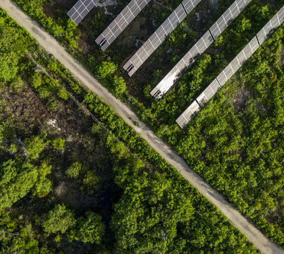 Aerial view of San Ignacio solar photovoltaic power plant with rows of solar panels arranged in a field surrounded by dense green vegetation and a dirt path Progreso, Yucatan, Mexico.