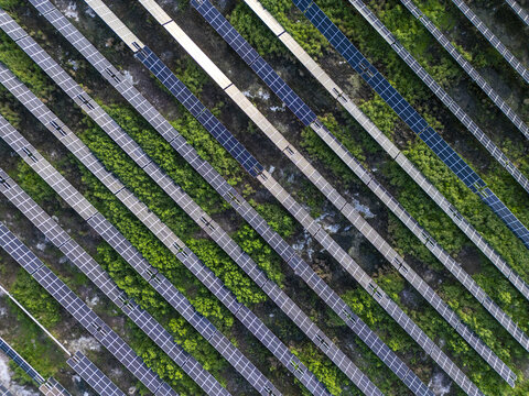 Aerial view of the San Ignacio solar photovoltaic power plant with rows of solar panels arranged in geometric patterns amidst lush green vegetation in Progreso, Yucatan, Mexico.