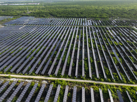 Aerial view of San Ignacio solar photovoltaic power plant with rows of solar panels set amidst lush green vegetation in Progreso, Yucatan, Mexico.
