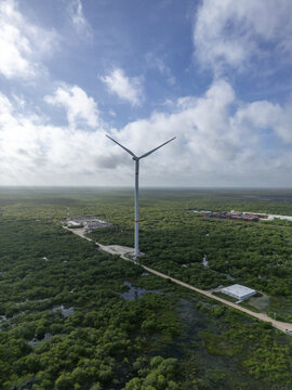 Aerial view of Parque eolico Energia Renovable de la Peninsula with a single wind turbine standing amidst lush green mangroves and wetlands in Progreso, Yucatan, Mexico.
