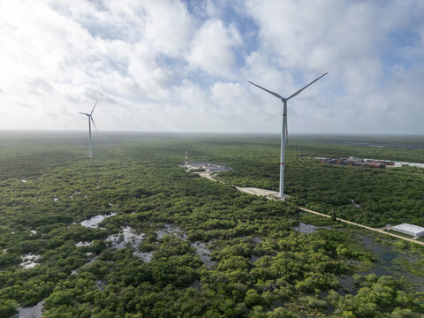 Aerial view of Parque eolico Energia Renovable de la Peninsula with wind turbines rising above the lush green vegetation and wetlands in Progreso, Yucatan, Mexico.
