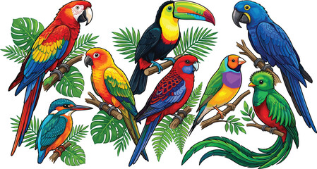Obraz premium Tropical rainforest exotic birds collection set vector illustrationTropical rainforest exotic birds collection set vector illustration