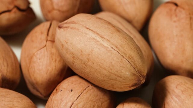 Close-up shot of raw pecan nuts with shell texture