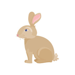 Obraz premium Cute Brown Rabbit Sitting Woodland Forest Animal Illustration Isolated on White Background
