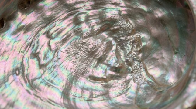 Iridescent Abalone Shell Interior Texture Close Up Macro Mother of Pearl Background Natural Organic Pattern for Jewelry Design and Luxury Decor Concepts