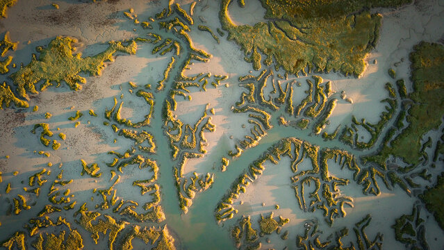 Aerial view of the intricate tidal channels and salt marshes of Penerf, with golden sunlight illuminating the winding waterways and green vegetation in Damgan, Bretagne, France.