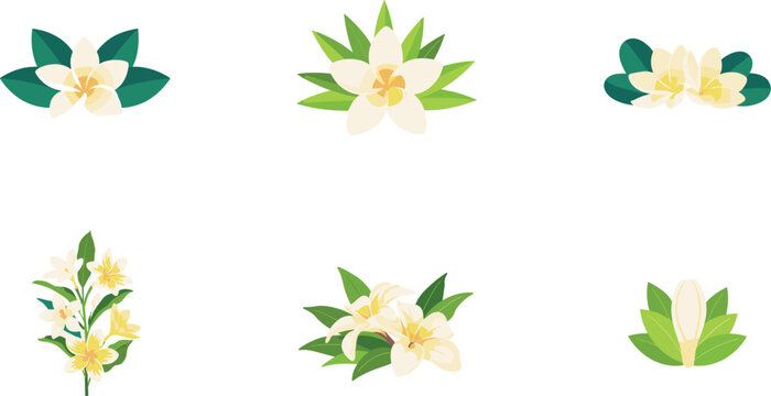 Beautiful white gardenia and jasmine flowers set with green leaves isolated on white background elegant wedding botanical floral bouquet vector illustration