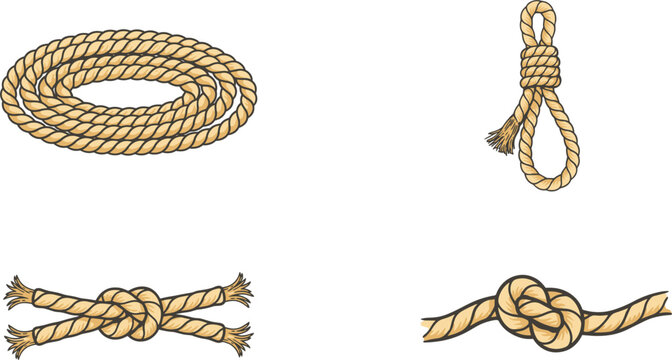 Nautical rope and knots vector illustration set showing coiled rope loop noose and strong marine knots isolated on white background collection