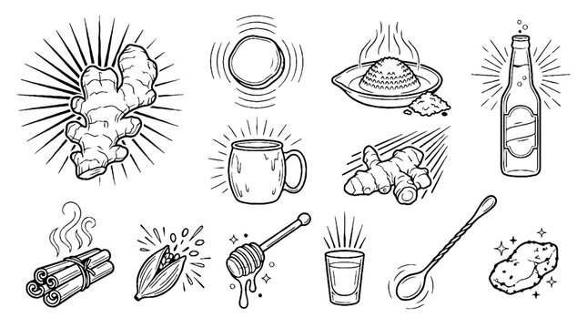 Hand drawn ginger root and healthy ingredients vintage sketch collection.