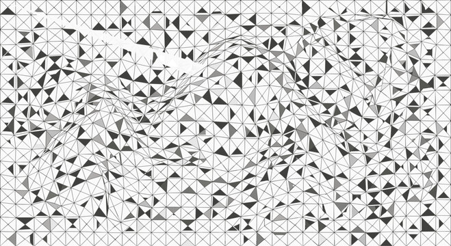 Distorted monochrome triangle mesh grid pattern resembling crumpled paper or a topographic map in black and white tones.