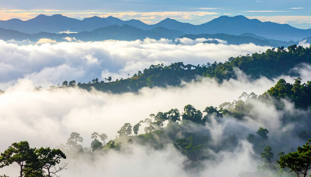 Misty Mountain Landscape with Clouds and Green Forest at Sunrise
