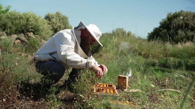 Beekeeper inspecting honeycomb frame at apiary