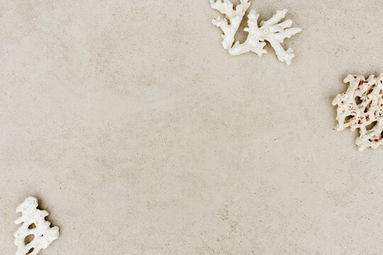 Sea Corals on beige sandy color background, sun beach mood scene, summer holiday relahation concept, beauty nature sea texture life still concept, nautical aesthetic minimal background, copy space.