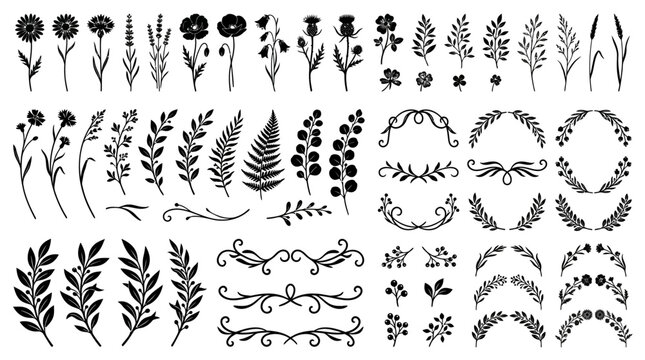 Collection of various floral designs.
