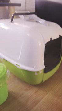 POV of carrying trashcan and cleaning cat toilet sand at home