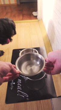 Person POV of changing water inside dog iron bowl