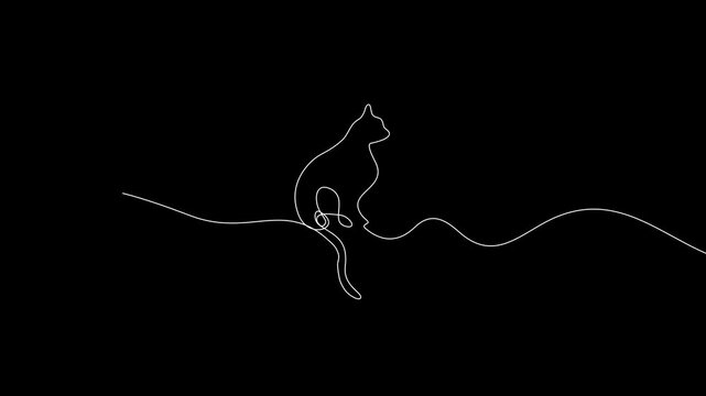 One Line Drawing Cat Sitting Video Animation in Black