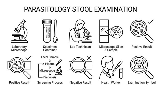 Medical parasitology laboratory stool examination process.