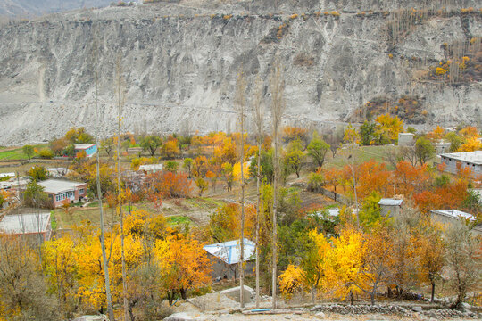 View of autumn foliage and small houses nestled among colorful trees against a backdrop of rugged mountain slopes in Hunza Nagar, Gilgit, Pakistan.