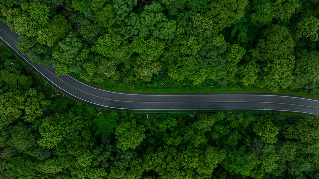 Aerial view mountain curve road in green forest, Mountain forest road surrounds natural forest, Winding road through lush green forest road tree.