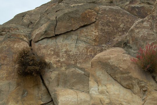 View of ancient petroglyphs carved into the Sacred Rocks of Ganish, featuring depictions of ibex and geometric symbols on weathered stone surfaces in Ganish, Gilgit, Pakistan.