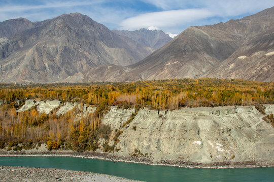 View of Nomal Valley featuring golden autumn trees along the riverbank with rugged mountain slopes under a clear blue sky in Nomal, Gilgit, Pakistan.