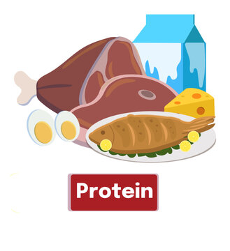 Protein vector asset