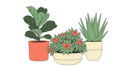Fototapeta premium Three potted houseplants with green leaves and colorful flowers.