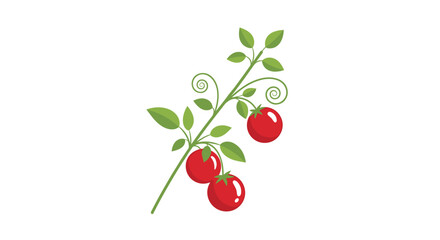 Obraz premium Branch of a tomato plant with vibrant red ripe fruits and green leaves growing on a curved vine in a sunny vegetable garden.