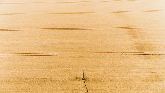 Aerial view of golden wheat field with parallel tractor tracks and a single utility pole casting a long shadow Sremska Mitrovica, Serbia.