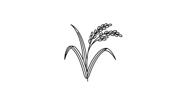 Simple line art illustration of a rice plant on a white backdrop, minimal design
