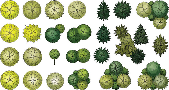 Set of top view trees for architectural landscape design plans and site maps in vector illustration format