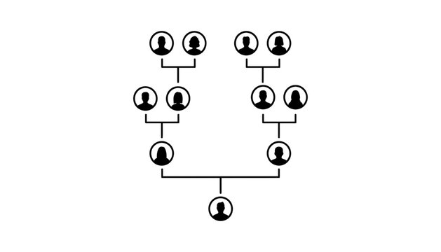 Family tree ancestry genealogy chart lineage diagram graphic