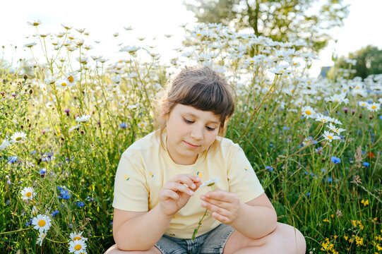 Thoughtful young girl holding daisy in wildflower meadow
