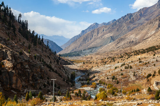 View of Astore Valley with a winding river, rocky slopes, scattered pine trees, and autumn foliage under a blue sky in Astore, Gilgit, Pakistan.