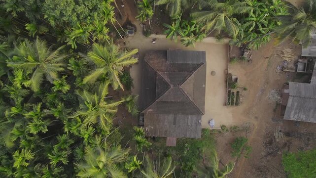 Top-angle aerial drone movement shot of a traditional old house with an interlocking Mangalore tiles roof, surrounded by coconut and Areca nut (Betel) trees, in the Kokan region, in the summer season