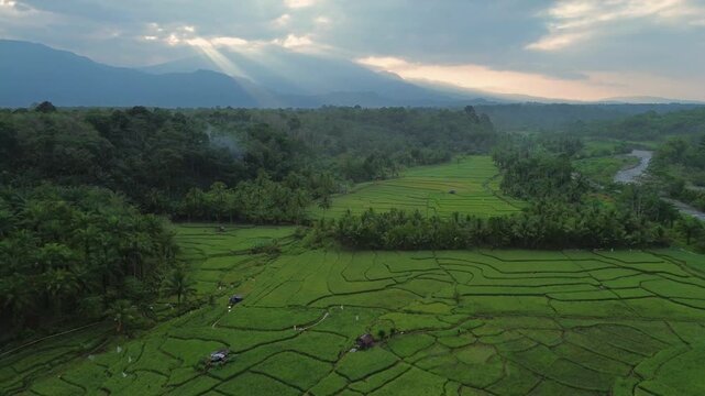 Aerial view of Taba Tembilang rice terraces with lush green paddies, dense forest, and a winding river under a dramatic sky in Arga Makmur, Bengkulu, Indonesia.