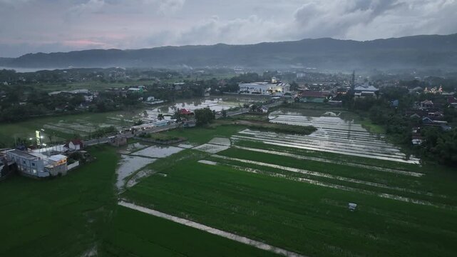 Aerial view of lush green rice paddies and town buildings under a twilight sky in Pacitan, East Java, Indonesia.