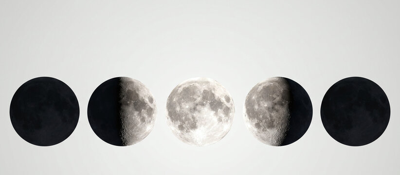 Moon Phases Cycle