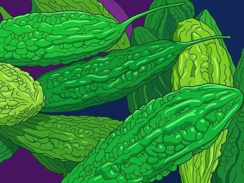 Stylized Bitter Melon Illustration for Health and Food Design. Vibrant Green Vegetables with Bold Outlines for Culinary Media and Flexible Layout.